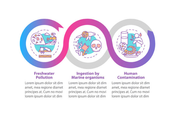 Microplastics Effects Vector Infographic Graphics